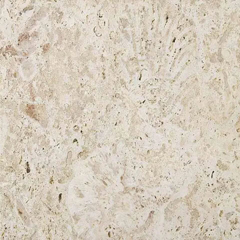 coral stone paver material