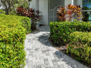 paved walkway