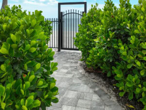 paved walkway leading to the beach