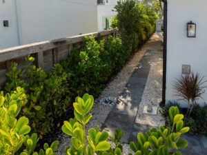 travertine walkway