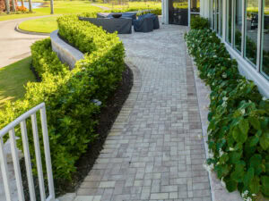 paved walkway