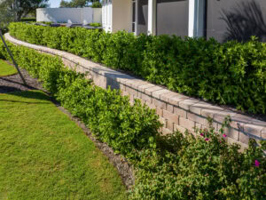 paved retaining wall