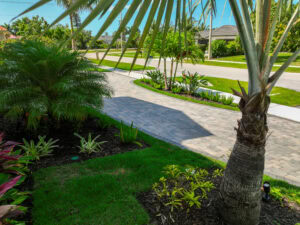 landscape and paved driveway