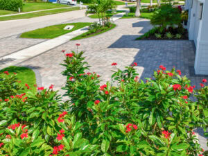 paved driveway installation