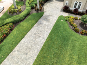 Paved pathway through landscaped garden